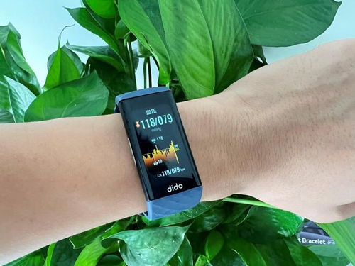 智能睡眠仪 科技助眠新选择？三款产品深度剖析为你解答